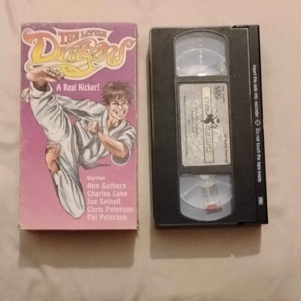 The Little Dragons VHS Tape Rare Vintage GoodTimes Karate